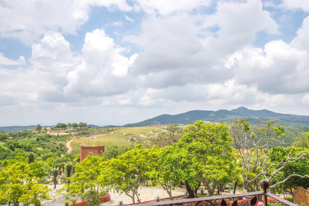 Hotel Camino De Vinos Guanajuato Eksteriør bilde